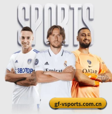 五个功能入口,赛程查询路径更短 - 多运动项目内容板块 | VSPORT